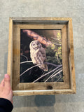 Great Gray Owl- FRAMED 8x10 wood print