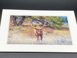 "Approaching Elk" 5x7 print