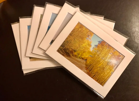 SALE: 5