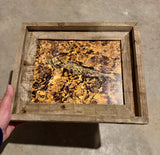 Hidden Trout- FRAMED 8x10 Wood Print