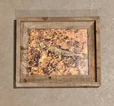 Hidden Trout- FRAMED 8x10 Wood Print