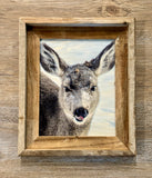Snowy Deer- FRAMED 8x10 wood print