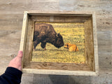 Bison Love- FRAMED 8x10 wood print