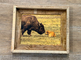 Bison Love- FRAMED 8x10 wood print