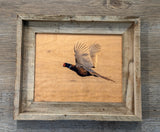 Flying Pheasant- FRAMED 8x10 wood print