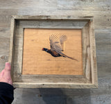 Flying Pheasant- FRAMED 8x10 wood print