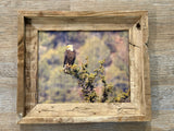Overlooking Eagle- FRAMED 8x10 wood print