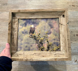 Overlooking Eagle- FRAMED 8x10 wood print