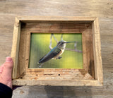 Broad Tailed Hummingbird- FRAMED 5x7 Wood Print
