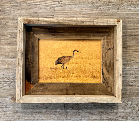 Sandhill Crane- FRAMED 5x7 Wood Print