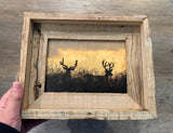 Two Bucks- FRAMED 5x7 Wood Print