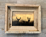 Two Bucks- FRAMED 5x7 Wood Print