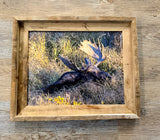 Napping Moose- FRAMED 11x14 Wood Print