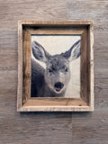 Snowy Deer- FRAMED 8x10 wood print