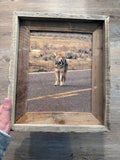 Limpy Coyote- FRAMED 8x10 wood print