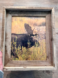 Rainy Moose- FRAMED 8x10 wood print