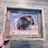 Sunrise Turkey FRAMED 8x10 wood print