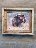 Sunrise Turkey FRAMED 8x10 wood print