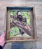 Owl Pair- FRAMED 8x10 wood print