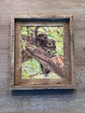 Owl Pair- FRAMED 8x10 wood print