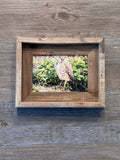 Burrowing Owl- FRAMED 5x7 Wood Print