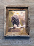 Sunset Eagle- FRAMED 8x10 wood print