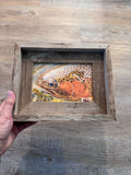 Trout Face- FRAMED 5x7 Wood Print
