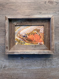 Trout Face- FRAMED 5x7 Wood Print