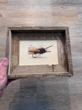 Fly- FRAMED 5x7 Wood Print