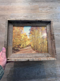 Aspens- FRAMED 8x10 Wood Print