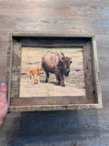 Mama & Baby Bison- FRAMED 8x10 wood print