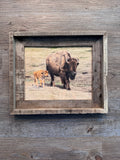 Mama & Baby Bison- FRAMED 8x10 wood print
