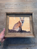 Red Fox Sitting- FRAMED 8x10 wood print