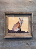 Red Fox Sitting- FRAMED 8x10 wood print