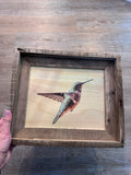 Suspended Anna's Hummingbird- FRAMED 8x10 wood print