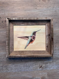 Suspended Anna's Hummingbird- FRAMED 8x10 wood print