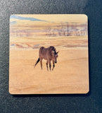 Coaster- Horse in Montana