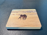 Coaster- Horse in Montana