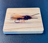 Coaster- Fly (PMX)
