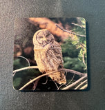 Coaster- Great Gray Owl