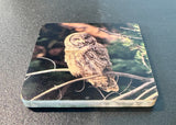 Coaster- Great Gray Owl