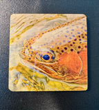 Coaster- Trout Face