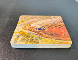 Coaster- Trout Face
