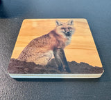 Coaster- Red Fox Sitting