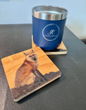 Coaster- Red Fox Sitting