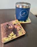 Coaster- Napping Black Bear