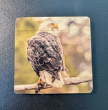 Coaster- Sunset Eagle