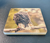 Coaster- Sunset Eagle