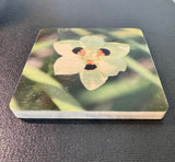 Coaster- Iris