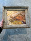 Trout Face- FRAMED 8x10 wood print